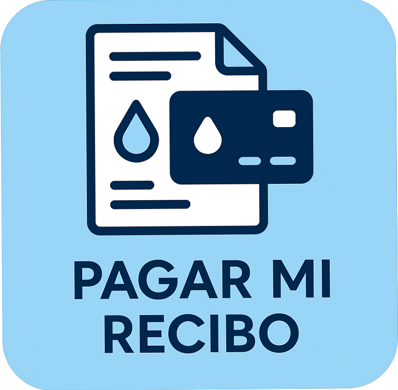 Pago en línea